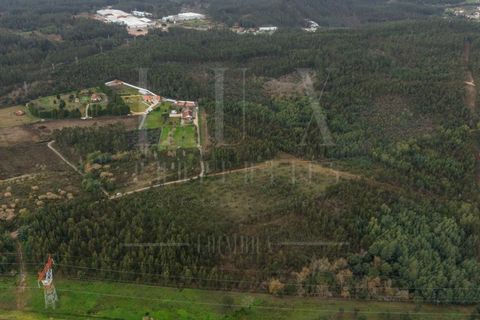 Tomt i Assafarge e Antanhol, Coimbra, Assafarge e Antanhol - € 60 000 | Ref: LUX_CB-01201 - foto 17
