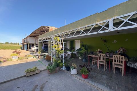 Helårsgrund i Vinaros, Castellon, Vinaros - € 1.400.000 | Ref: EXP12059/8930 - foto 12