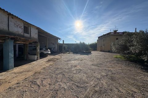 Helårsgrund i Vinaros, Castellon, Vinaros - € 1.400.000 | Ref: EXP12059/8930 - foto 16
