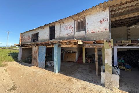 Helårsgrund i Vinaros, Castellon, Vinaros - € 1.400.000 | Ref: EXP12059/8930 - foto 48