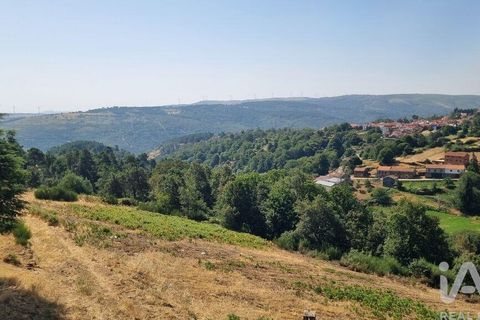 Byhus i Guarda, Guarda, Guarda - € 75.000 | Ref: 782306 - foto 5