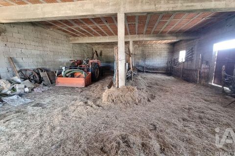 Byhus i Guarda, Guarda, Guarda - € 75.000 | Ref: 782306 - foto 13