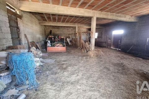 Byhus i Guarda, Guarda, Guarda - € 75.000 | Ref: 782306 - foto 14