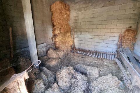 Byhus i Guarda, Guarda, Guarda - € 75.000 | Ref: 782306 - foto 16