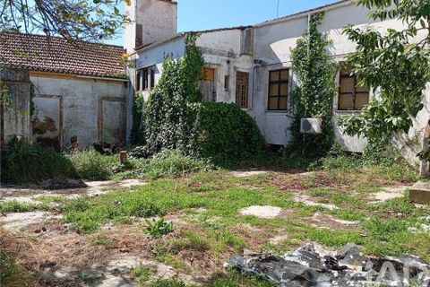 Byhus i Alter do Chao, Portalegre, Alter do Chao - € 335.000 | Ref: 813567 - foto 22