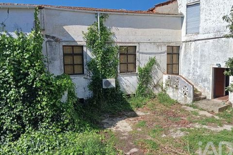 Byhus i Alter do Chao, Portalegre, Alter do Chao - € 335.000 | Ref: 813567 - foto 24