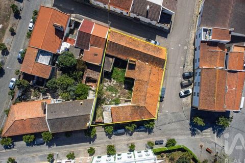 Byhus i Alter do Chao, Portalegre, Alter do Chao - € 335.000 | Ref: 813567 - foto 26