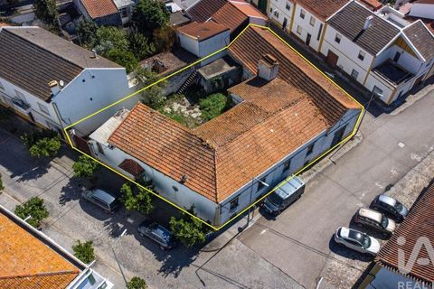 Byhus i Alter do Chao, Portalegre, Alter do Chao - € 335.000 | Ref: 813567 - foto 27