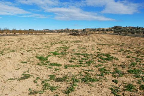 Finca i Fabara, Zaragoza, Fabara - € 29.000 | Ref: 1100 - foto 17