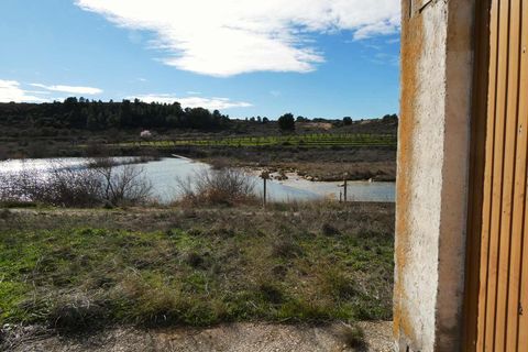 Finca i Fabara, Zaragoza, Fabara - € 29.000 | Ref: 1100 - foto 8