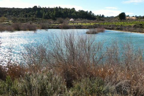Finca i Fabara, Zaragoza, Fabara - € 29.000 | Ref: 1100 - foto 26