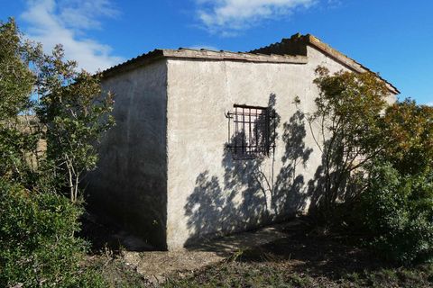 Finca i Fabara, Zaragoza, Fabara - € 29.000 | Ref: 1100 - foto 22
