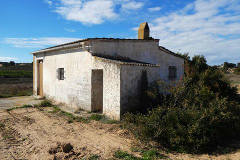 Finca i Fabara, Zaragoza, Fabara - € 29.000 | Ref: 1100 - foto 18