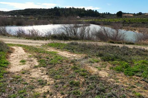 Finca i Fabara, Zaragoza, Fabara - € 29.000 | Ref: 1100 - foto 33