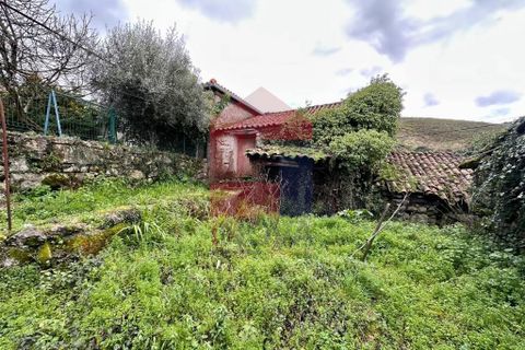 Byhus i Ponte da Barca, Viana do Castelo, Ponte da Barca - € 25.000 | Ref: 08801 - foto 11