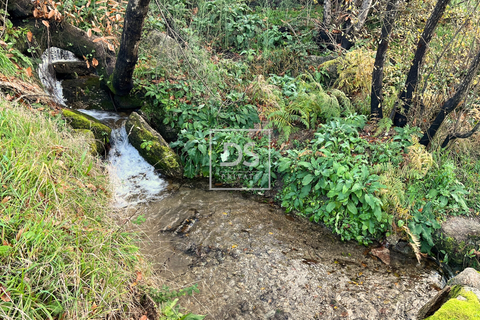 Helårsgrund i Amarante, Porto, Amarante - € 27.000 | Ref: DSPMCANAVSN29 - foto 6