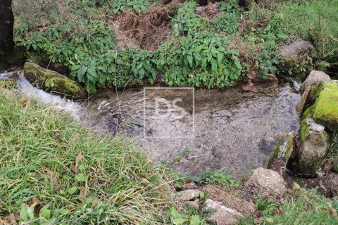 Helårsgrund i Amarante, Porto, Amarante - € 27.000 | Ref: DSPMCANAVSN29 - foto 8