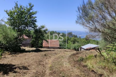 Helårsgrund i Amarante, Porto, Amarante - € 27.000 | Ref: DSPMCANAVSN29 - foto 10