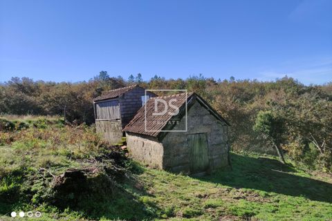 Helårsgrund i Amarante, Porto, Amarante - € 27.000 | Ref: DSPMCANAVSN29 - foto 11