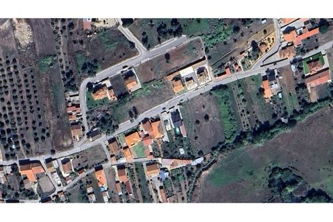 Terra a Vila Nova de Ancos, Coimbra, Vila Nova de Ancos - € 38.000 | Ref: cdx0925 - foto 2