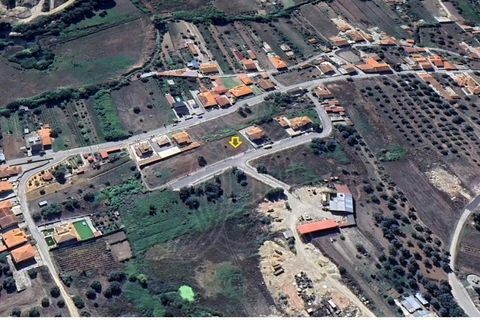 Terra a Vila Nova de Ancos, Coimbra, Vila Nova de Ancos - € 38.000 | Ref: cdx0925 - foto 4