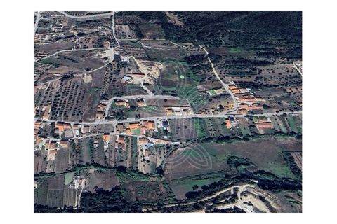 Terra a Vila Nova de Ancos, Coimbra, Vila Nova de Ancos - € 38.000 | Ref: cdx0925 - foto 5