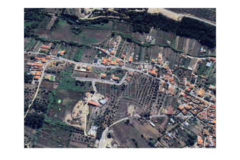 Terra a Vila Nova de Ancos, Coimbra, Vila Nova de Ancos - € 38.000 | Ref: cdx0925 - foto 6