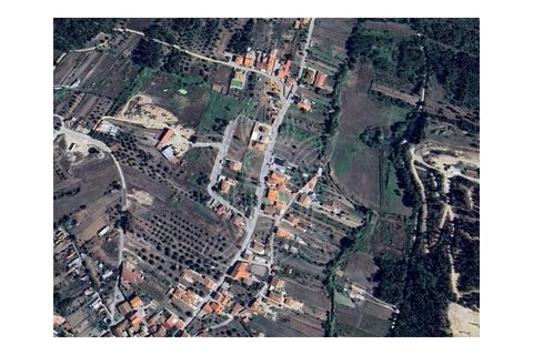 Terra a Vila Nova de Ancos, Coimbra, Vila Nova de Ancos - € 38.000 | Ref: cdx0925 - foto 7