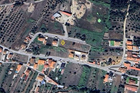 Terra a Vila Nova de Ancos, Coimbra, Vila Nova de Ancos - € 38.000 | Ref: cdx0925 - foto 8