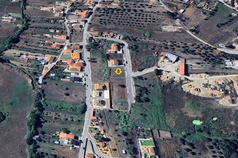 Terra a Vila Nova de Ancos, Coimbra, Vila Nova de Ancos - € 38.000 | Ref: cdx0925 - foto 9