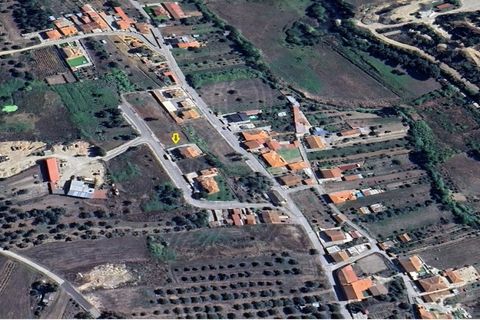 Terra a Vila Nova de Ancos, Coimbra, Vila Nova de Ancos - € 38.000 | Ref: cdx0925 - foto 10