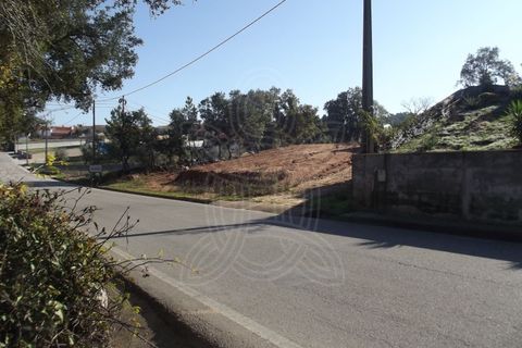 Villa a Ansiao, Leiria, Ansiao - € 410.000 | Ref: 17-5052 - foto 6