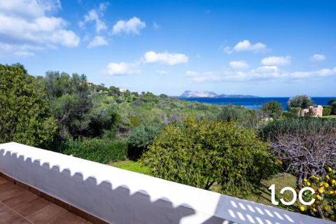 Villa i San Teodoro, Sassari, San Teodoro - € 950.000 | Ref: ST1269 - foto 8