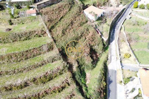 Helårsgrund i Vila Verde, Braga, Vila Verde - € 30.000 | Ref: ONE141494-67 - foto 11