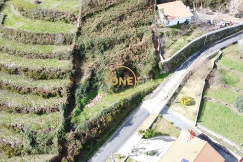Helårsgrund i Vila Verde, Braga, Vila Verde - € 30.000 | Ref: ONE141494-67 - foto 12