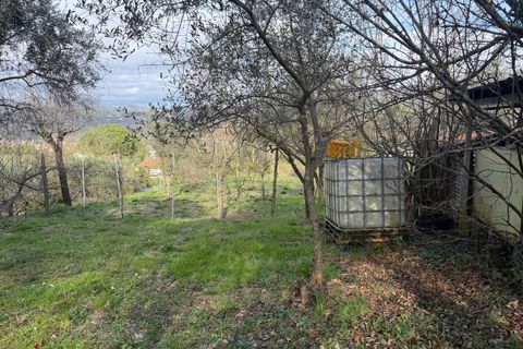 Byhus i Sarzana, La Spezia, Sarzana - € 420.000 | Ref: 3556 - foto 9