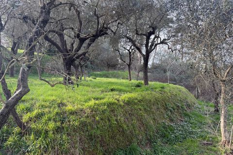 Byhus i Sarzana, La Spezia, Sarzana - € 420.000 | Ref: 3556 - foto 20