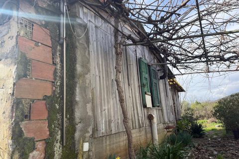 Byhus i Sarzana, La Spezia, Sarzana - € 420.000 | Ref: 3556 - foto 28