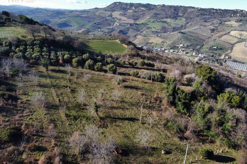 Landejendom i Ripatransone, Ascoli Piceno, Ripatransone - € 320.000 | Ref: 33992 - foto 13