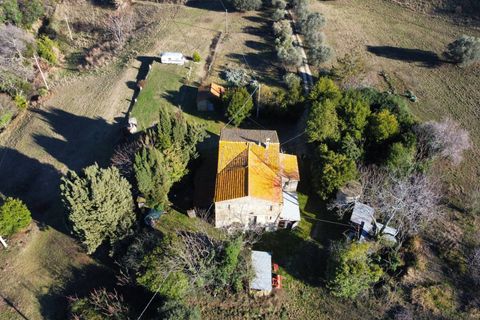 Landejendom i Ripatransone, Ascoli Piceno, Ripatransone - € 320.000 | Ref: 33992 - foto 15
