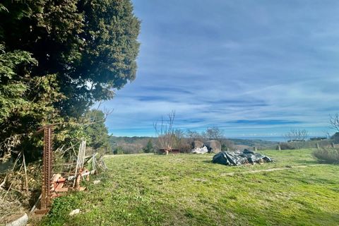 Landejendom i Ripatransone, Ascoli Piceno, Ripatransone - € 320.000 | Ref: 33992 - foto 18