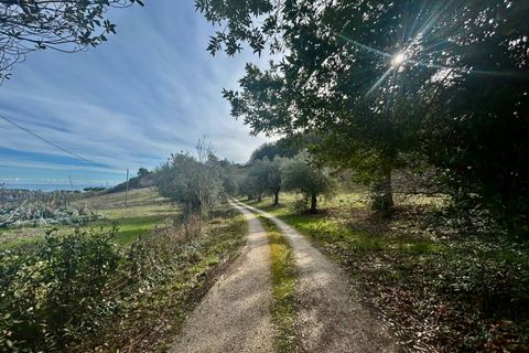 Landejendom i Ripatransone, Ascoli Piceno, Ripatransone - € 320.000 | Ref: 33992 - foto 19