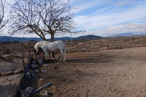 Finca i Monovar, Alicante, Monovar - € 189.995 | Ref: MCO-90021 - foto 4