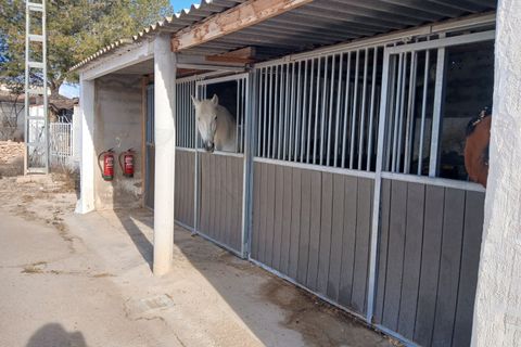 Finca i Monovar, Alicante, Monovar - € 189.995 | Ref: MCO-90021 - foto 29