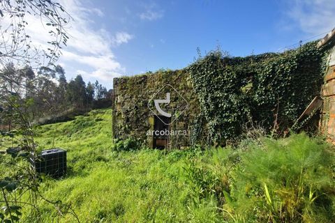 Byhus i Ponte de Lima, Viana do Castelo, Ponte de Lima - € 127.500 | Ref: AV6558 - foto 11