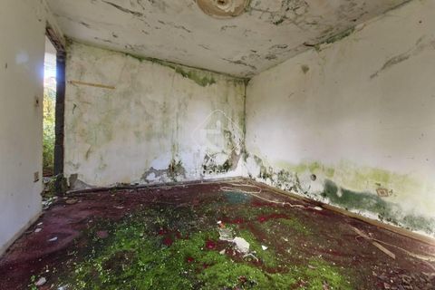 Byhus i Ponte de Lima, Viana do Castelo, Ponte de Lima - € 127.500 | Ref: AV6558 - foto 24
