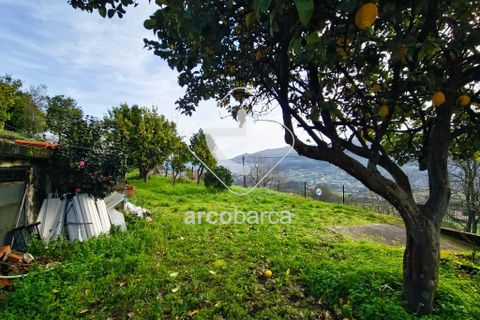 Byhus i Ponte da Barca, Viana do Castelo, Ponte da Barca - € 180.000 | Ref: AV6625 - foto 16