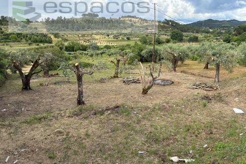 Terra a Fundao, Castelo Branco, Fundao - € 33.000 | Ref: 5740/CP - foto 3