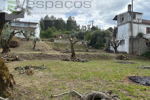 Terra a Fundao, Castelo Branco, Fundao - € 33.000 | Ref: 5740/CP - foto 7