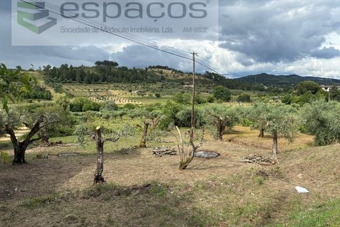 Terra a Fundao, Castelo Branco, Fundao - € 33.000 | Ref: 5740/CP - foto 9